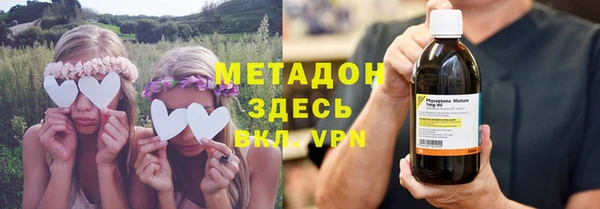гидра Калининец