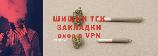 гидра Калининец