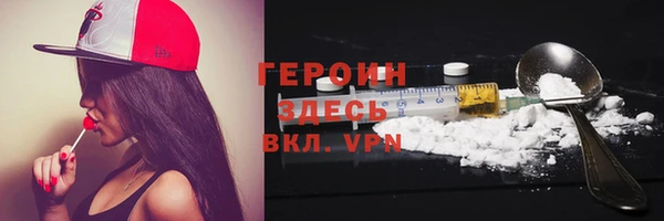 гидра Калининец