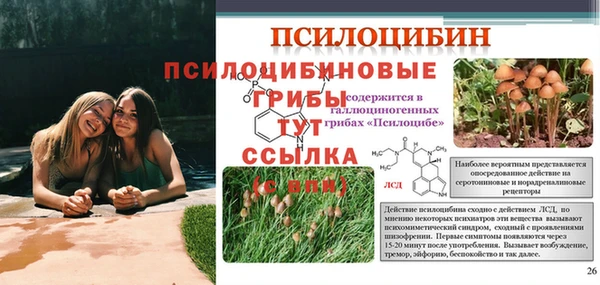 гидра Калининец