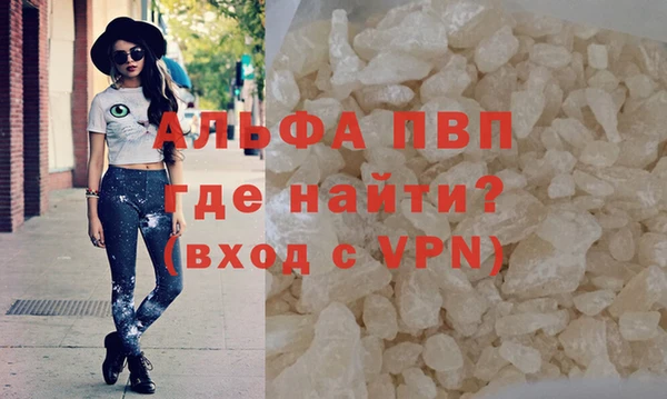 гидра Калининец