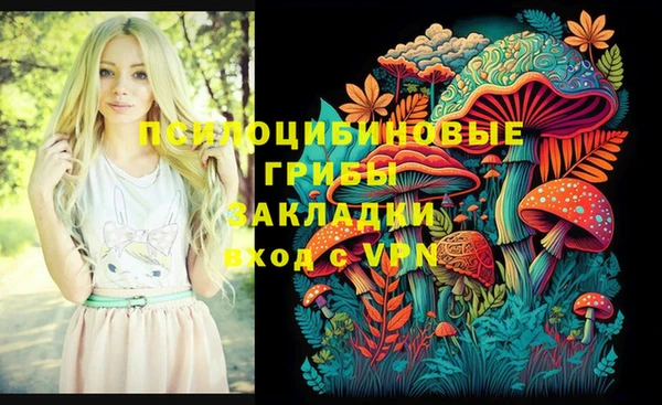 гидра Калининец