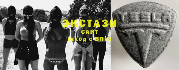 гидра Калининец
