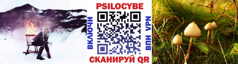 Галлюциногенные грибы прущие грибы Сорочинск